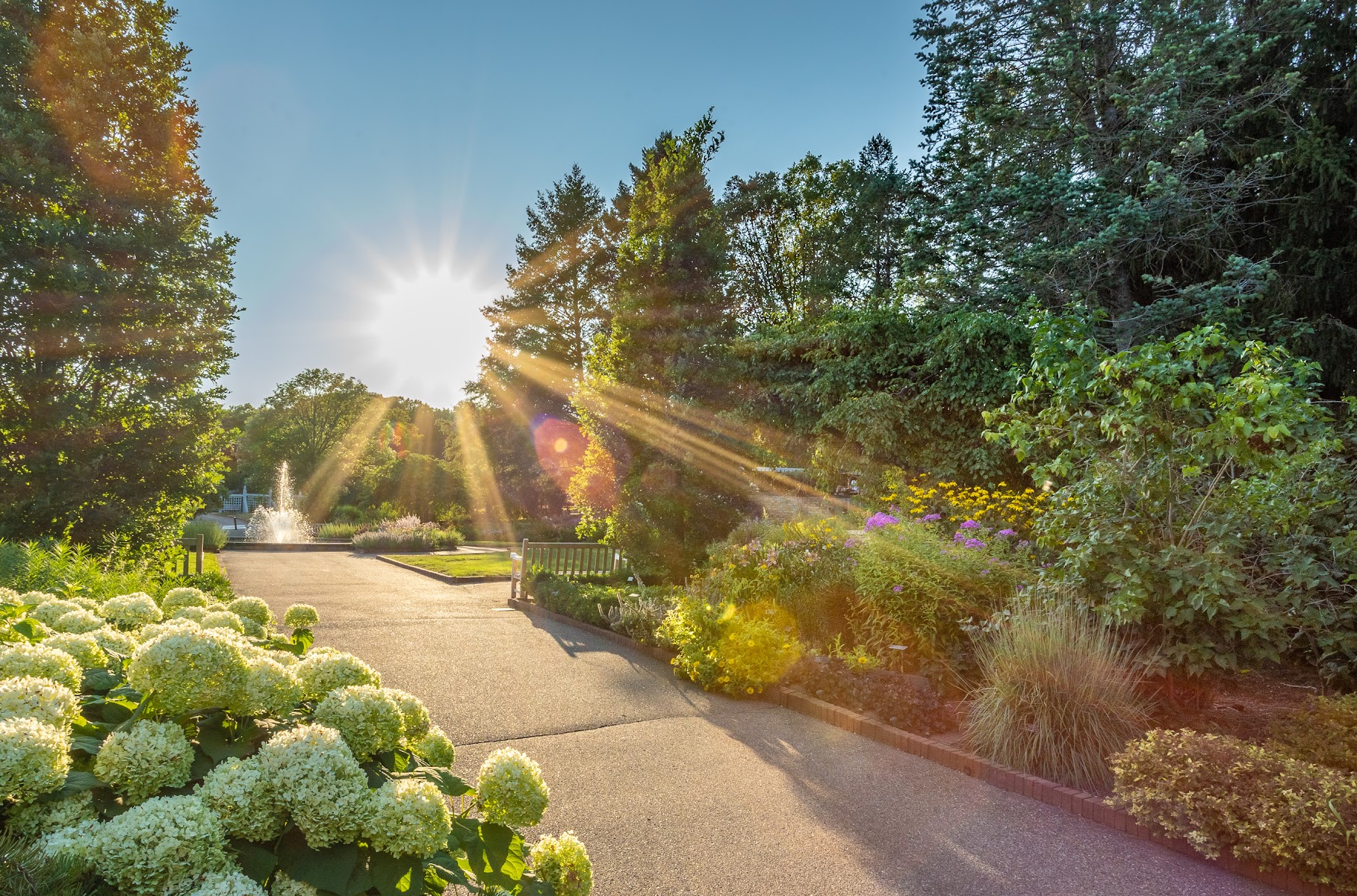 University of Minnesota Landscape Arboretum