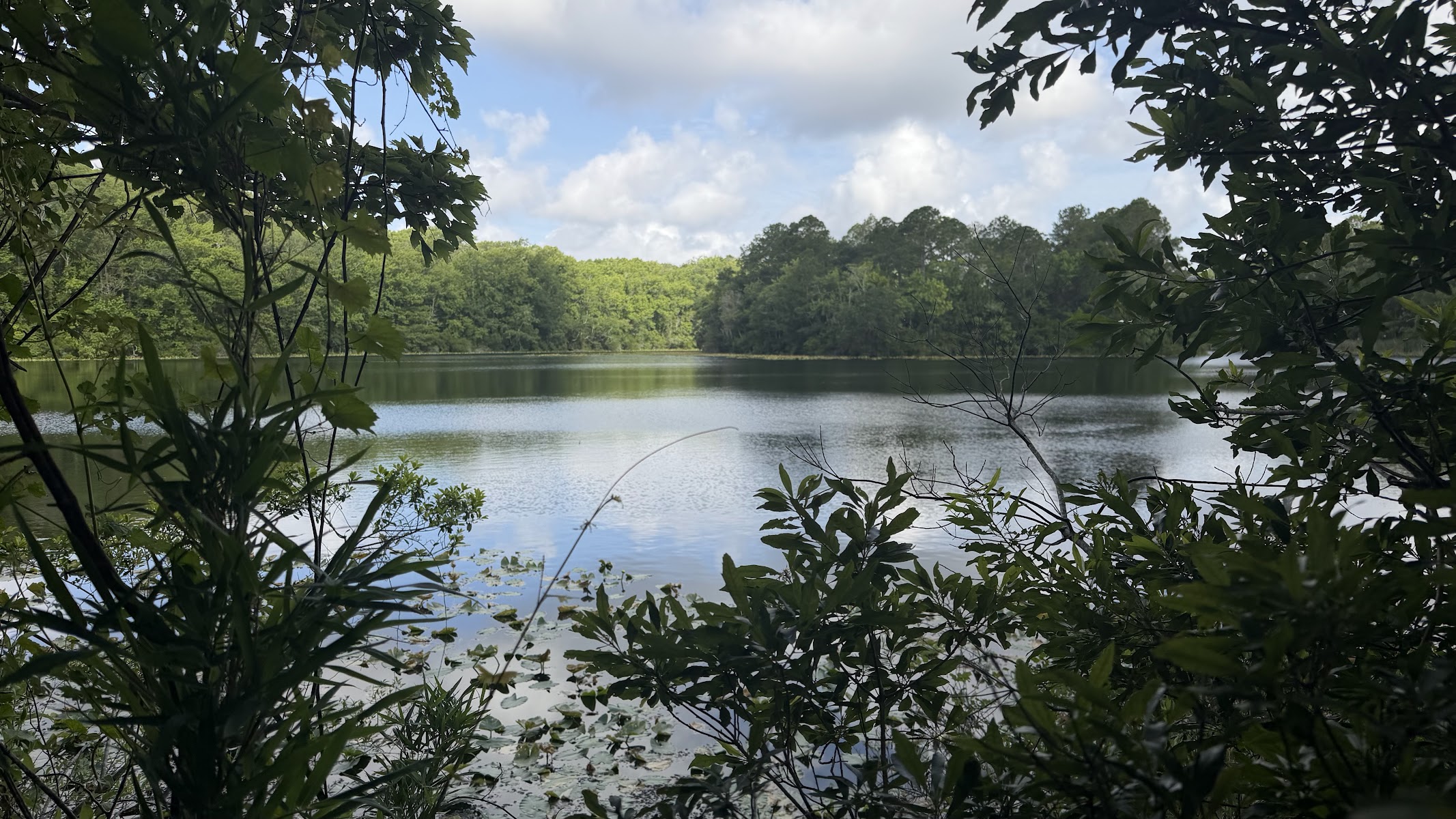 University Of North Florida Nature Trails