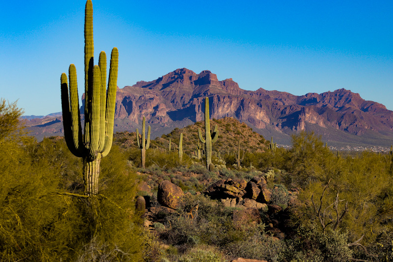 Usery Mountain Regional Park