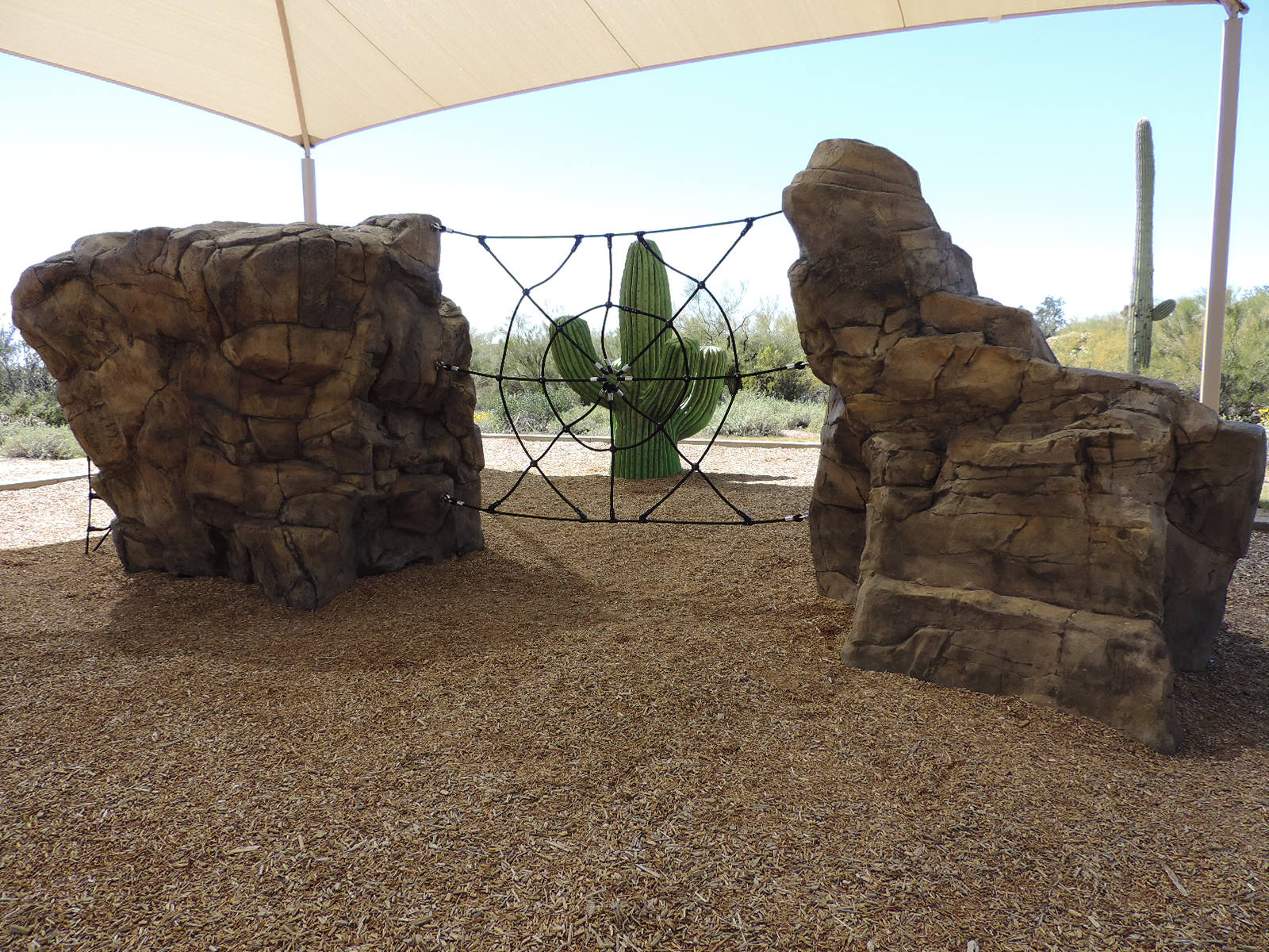 Morning Trails and Desert Brunch in Mesa
