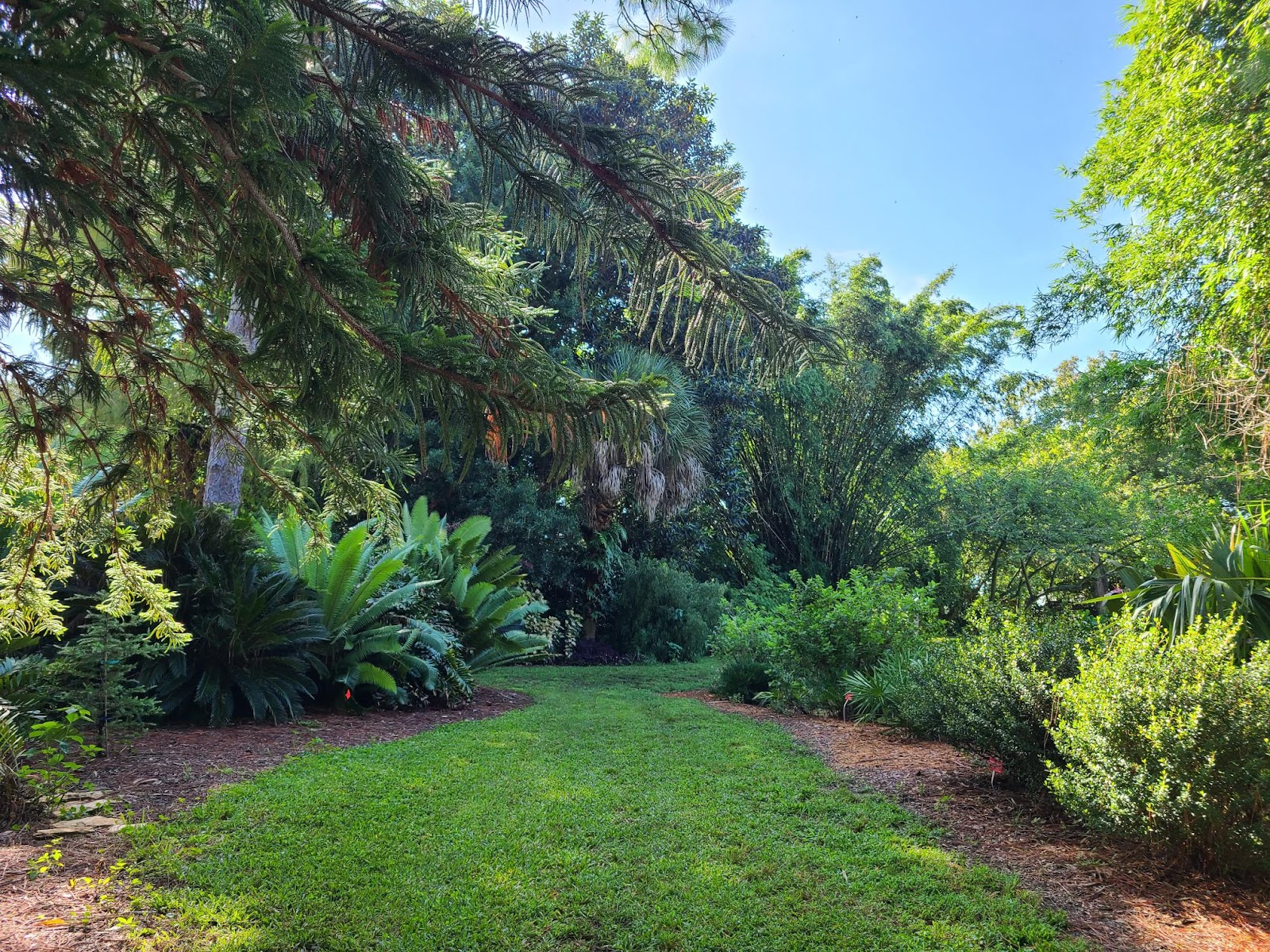 USF Botanical Gardens