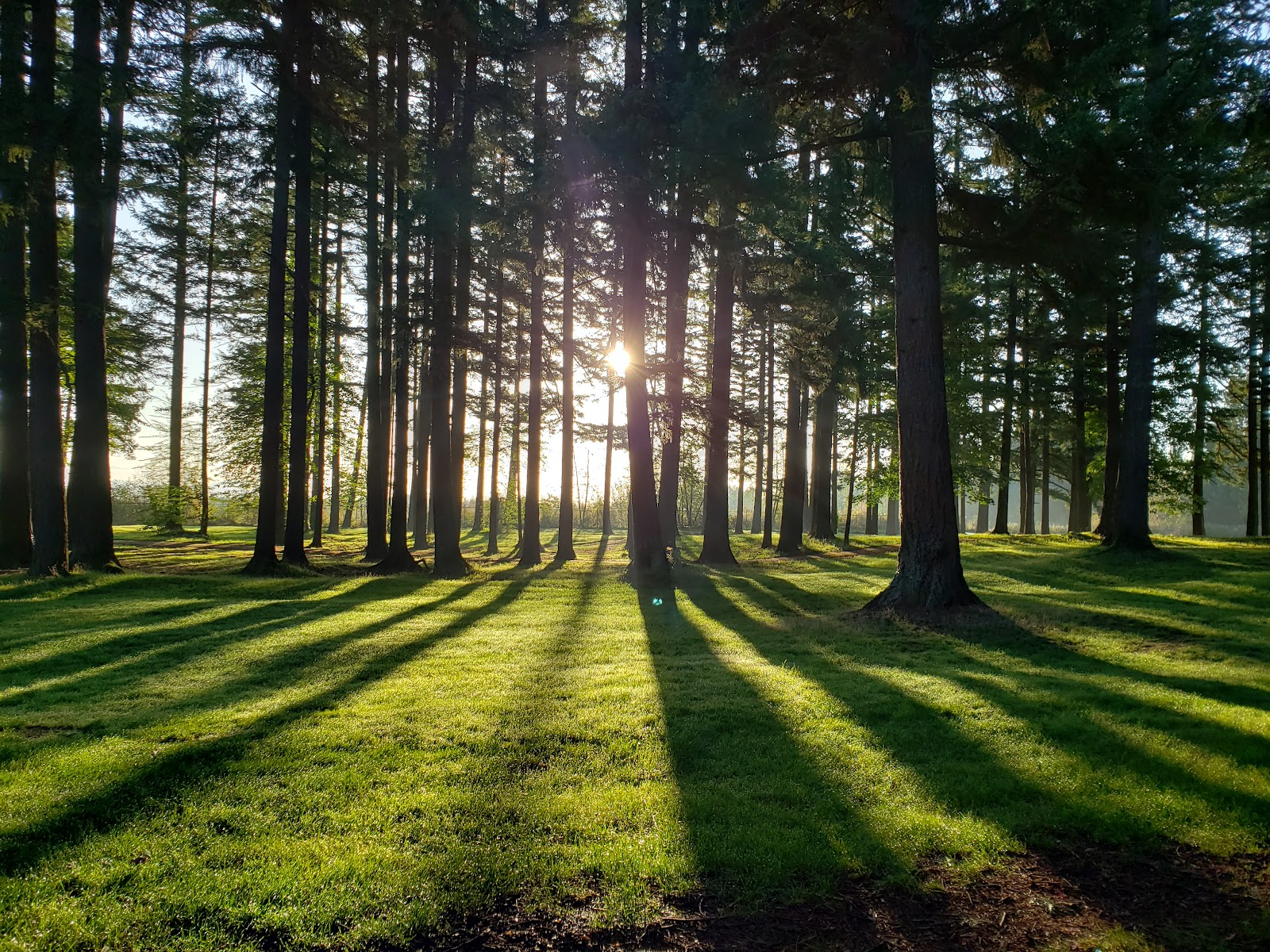 Vance Park