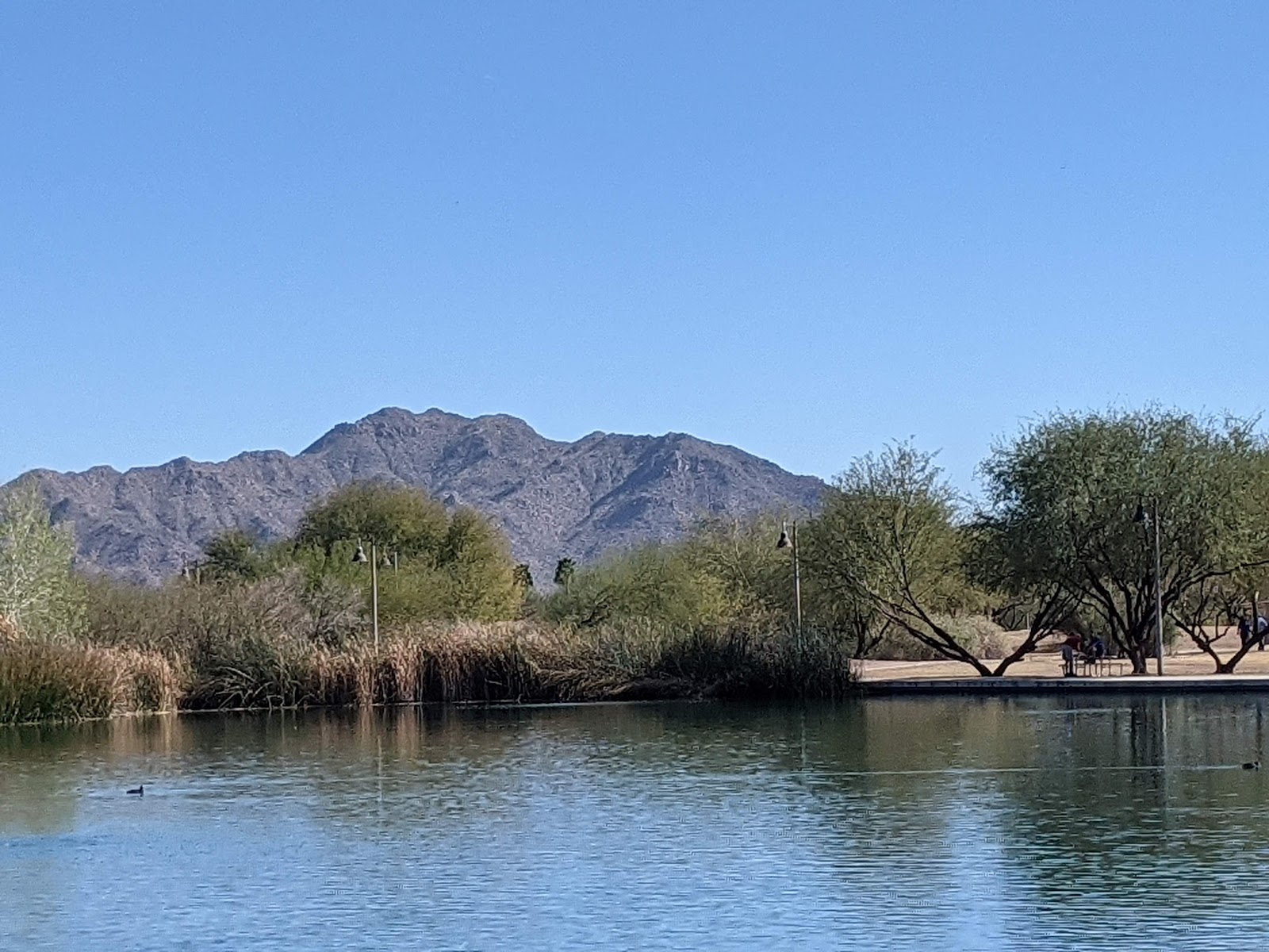 Veterans Oasis Park