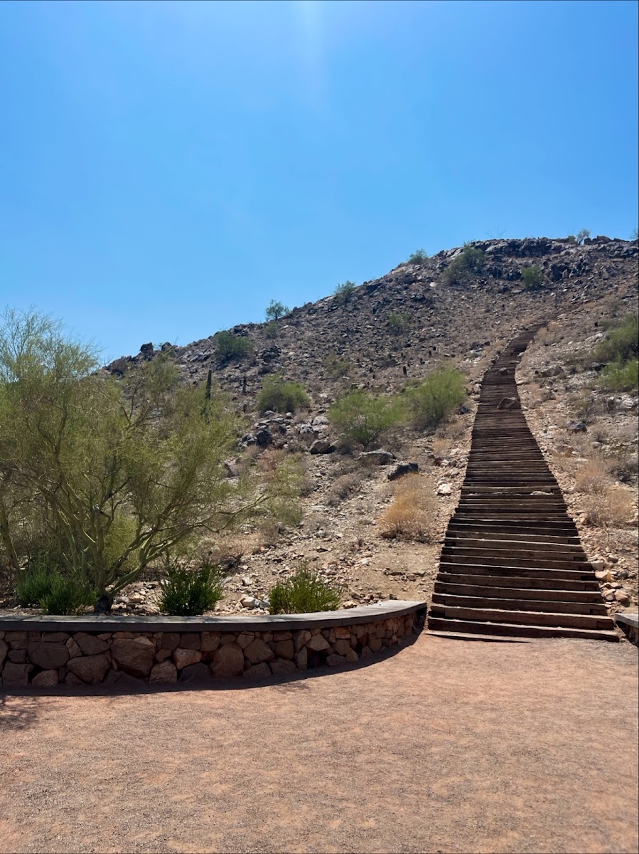 Victory Steps at Verrado