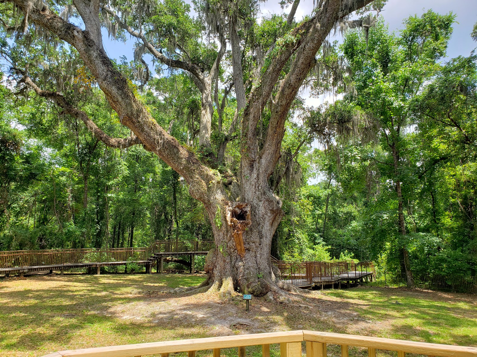 Village Point Park Preserve