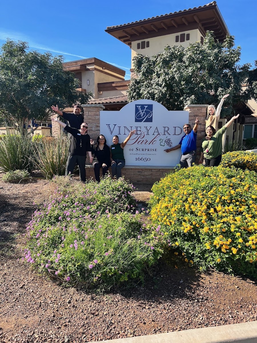 Vineyard Park Surprise