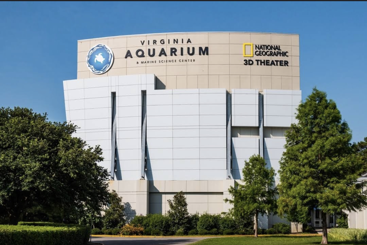 Family Fun at Virginia Aquarium & Park