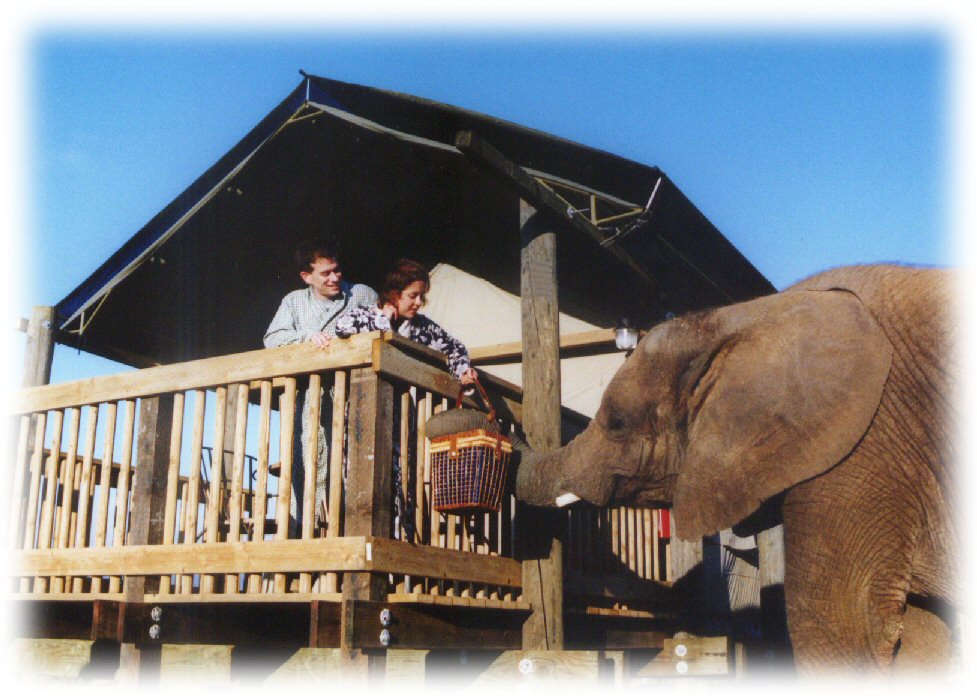 Vision Quest Ranch