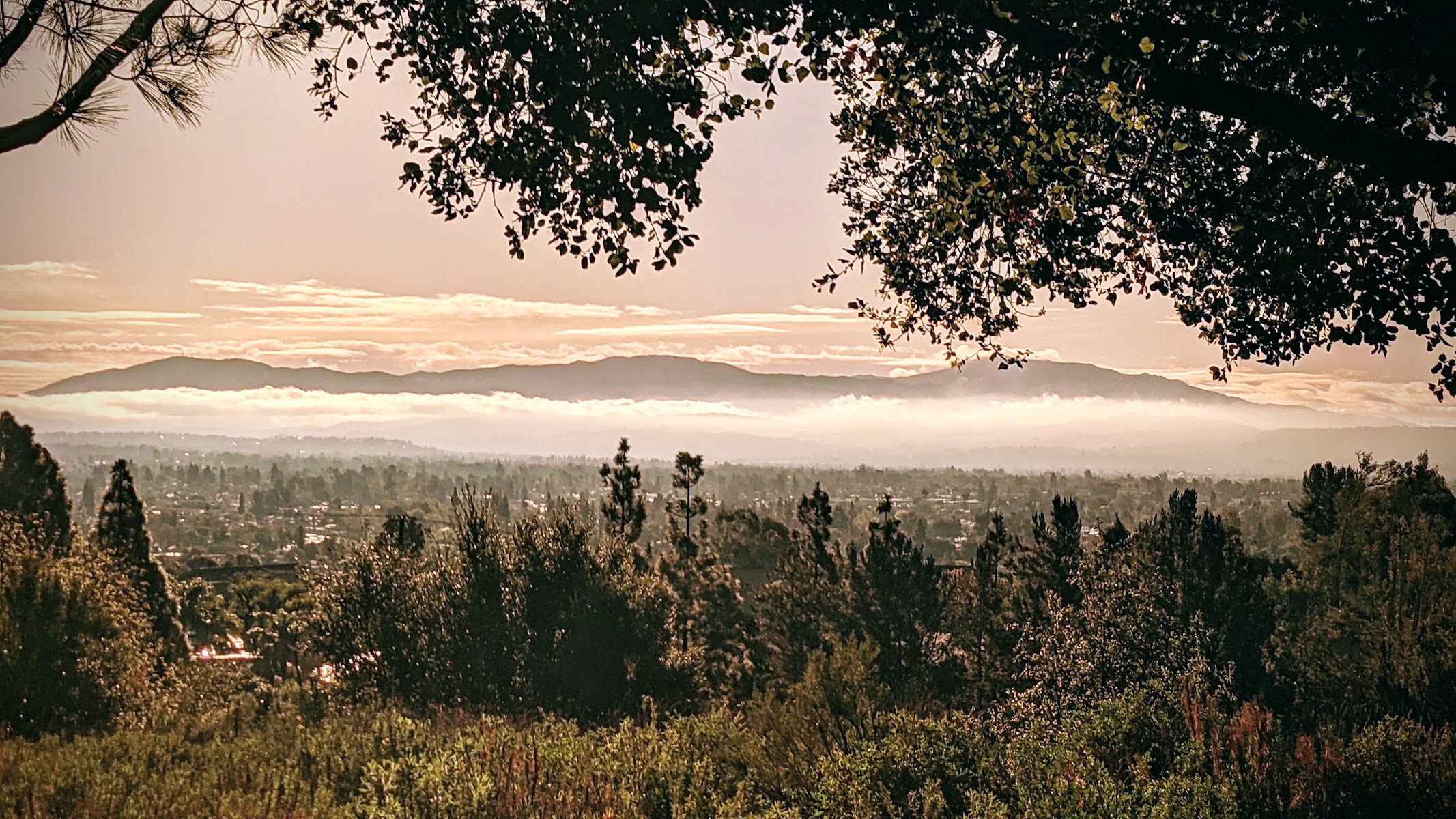 Vista Park