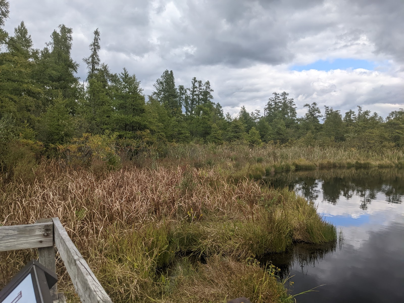 Volo Bog State Natural Area