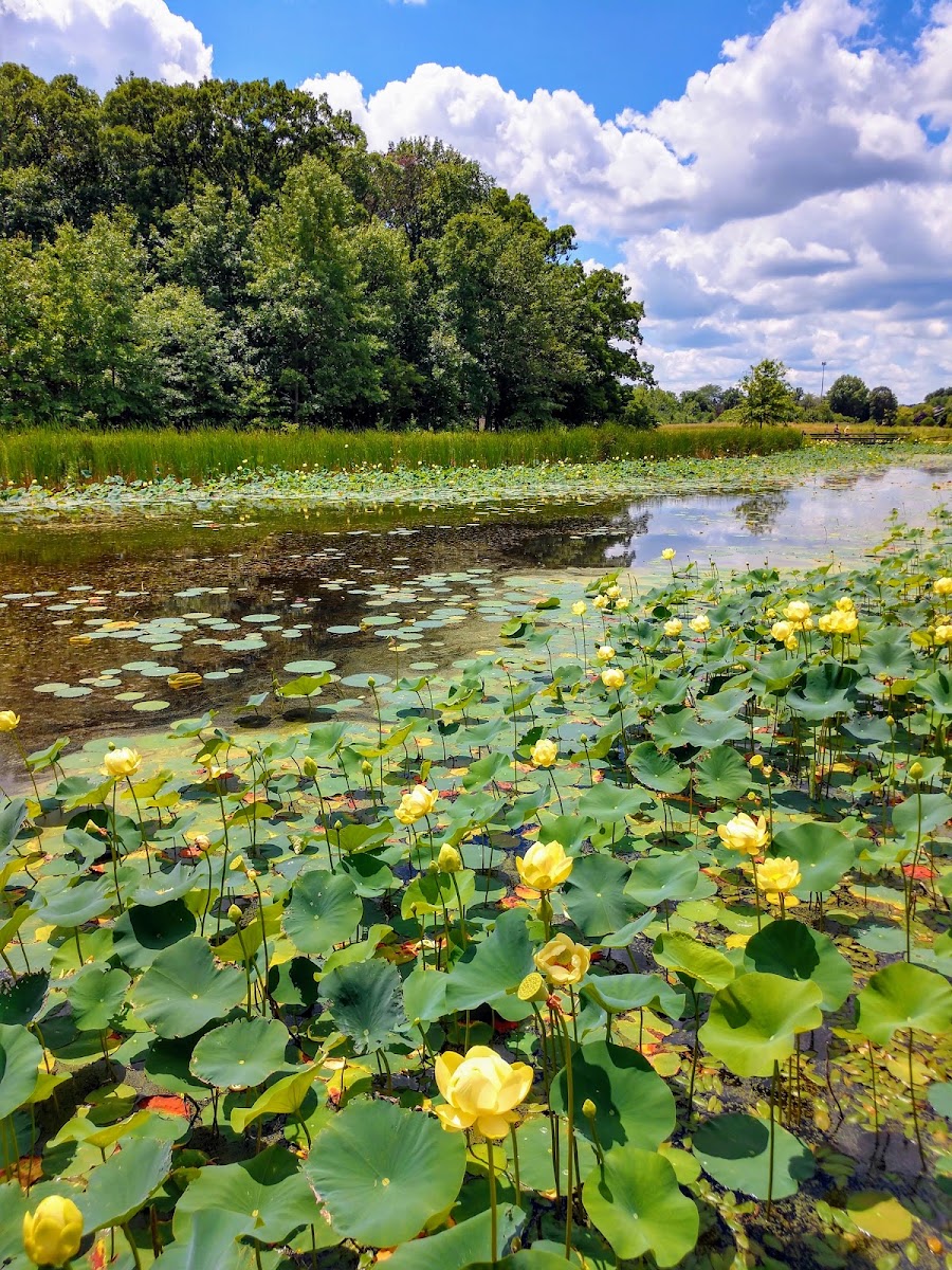 W. W. Knight Nature Preserve