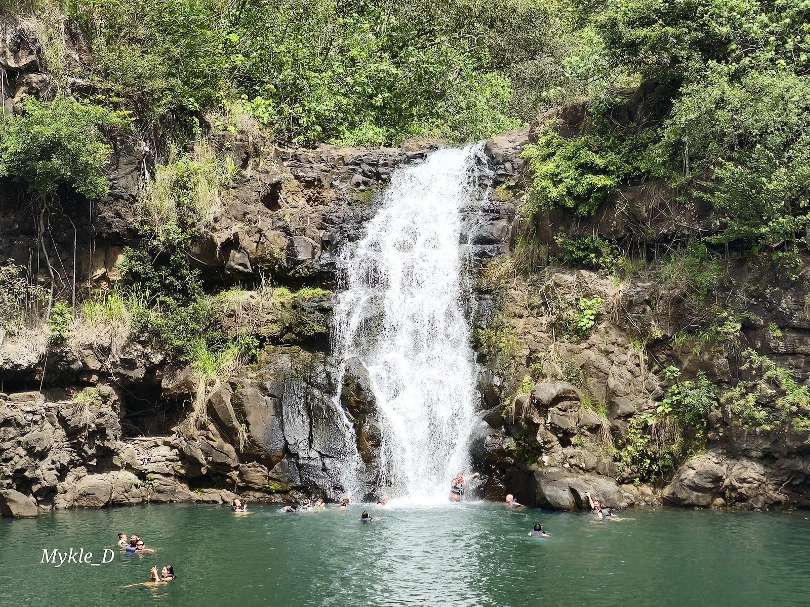 Waimea Valley