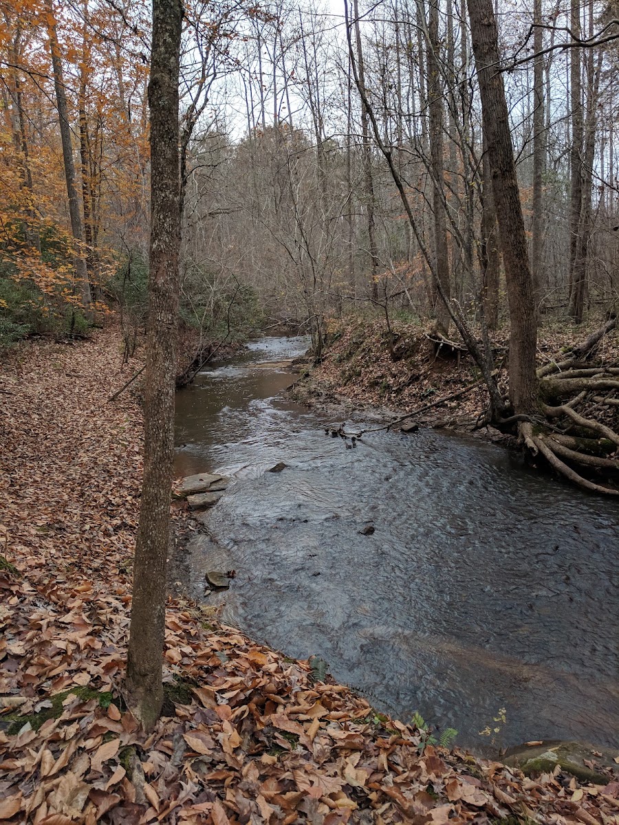 Walnut Creek Park