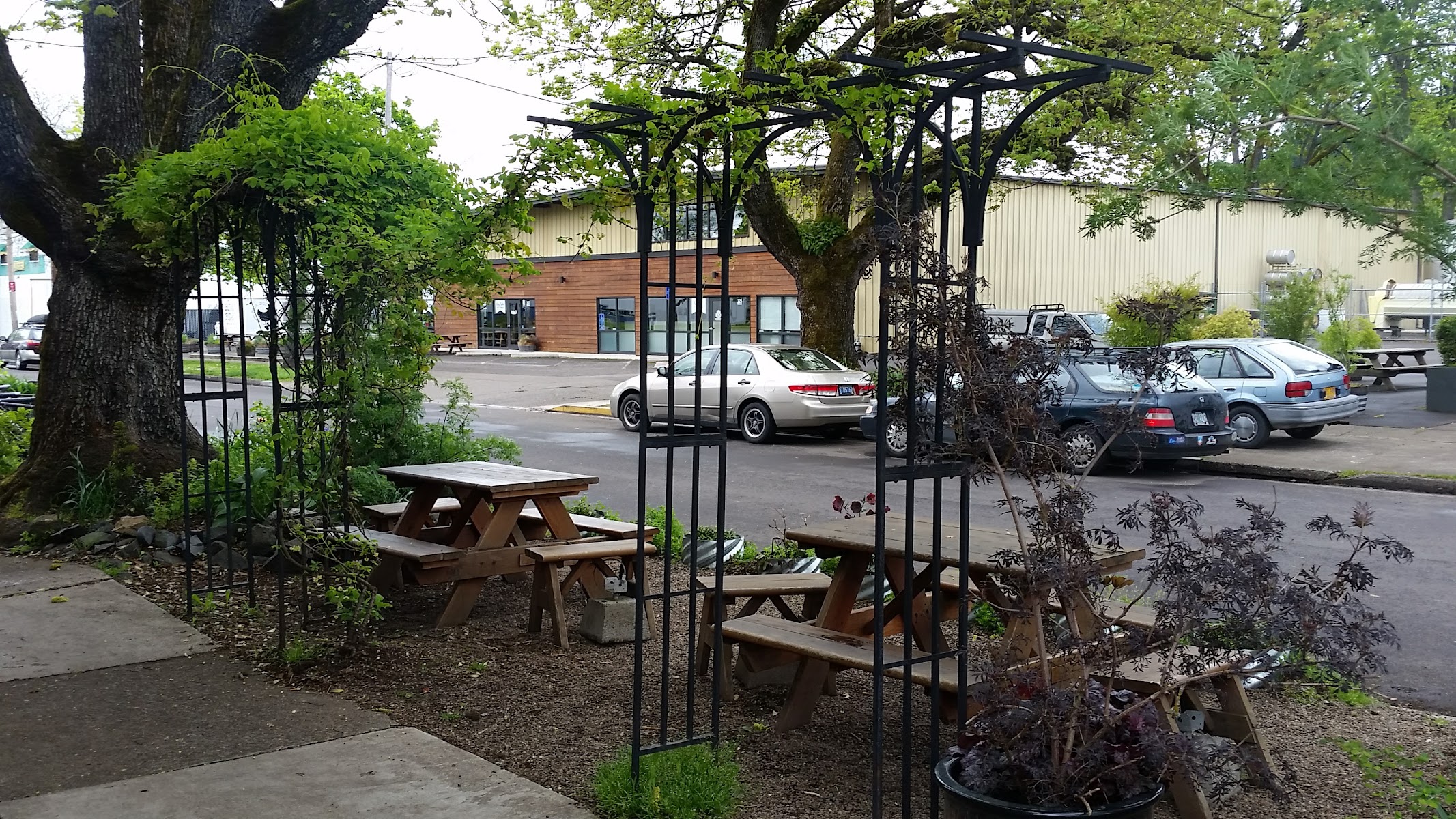 Wandering Goat Coffee Co.