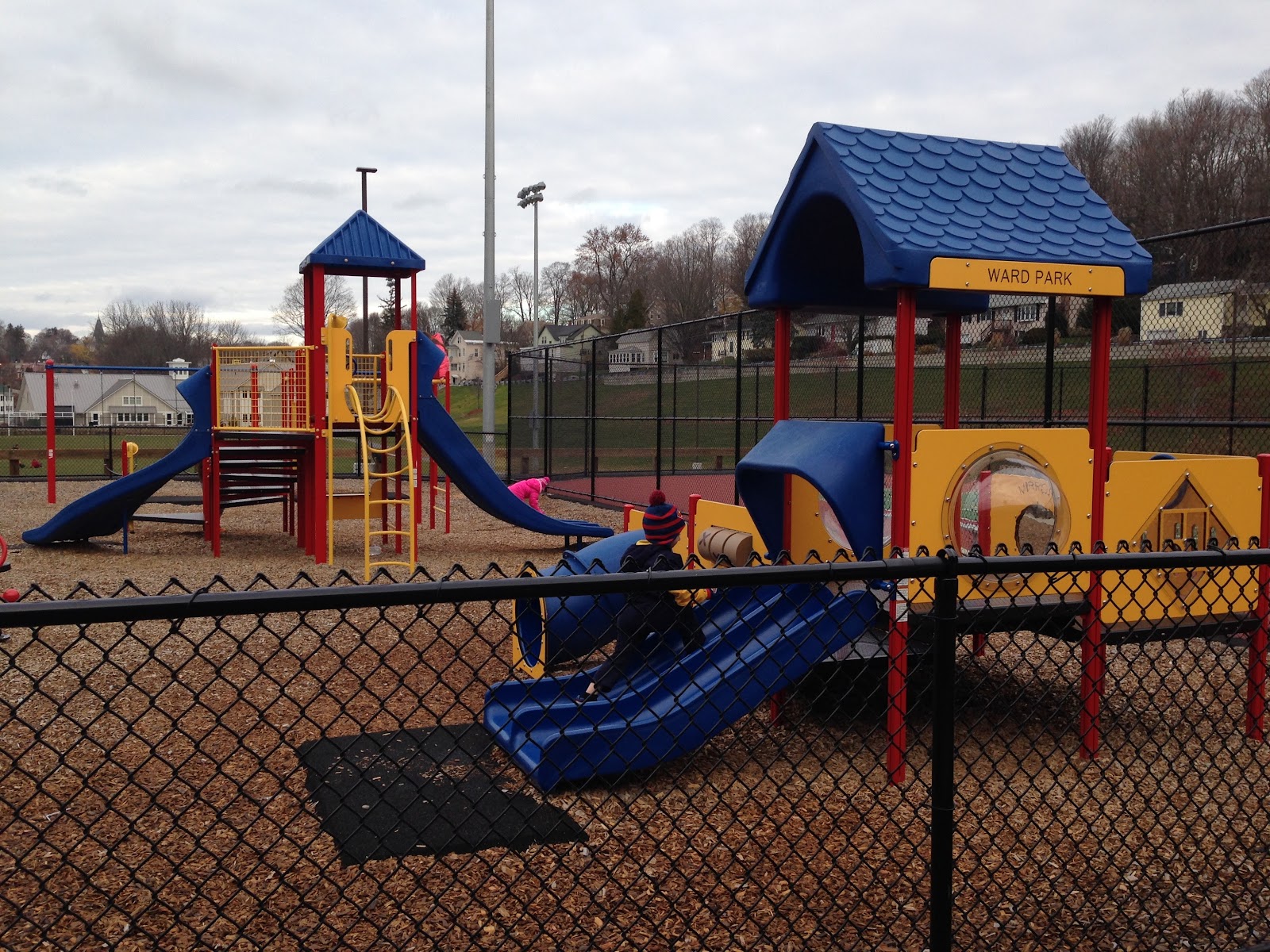 Ward Park