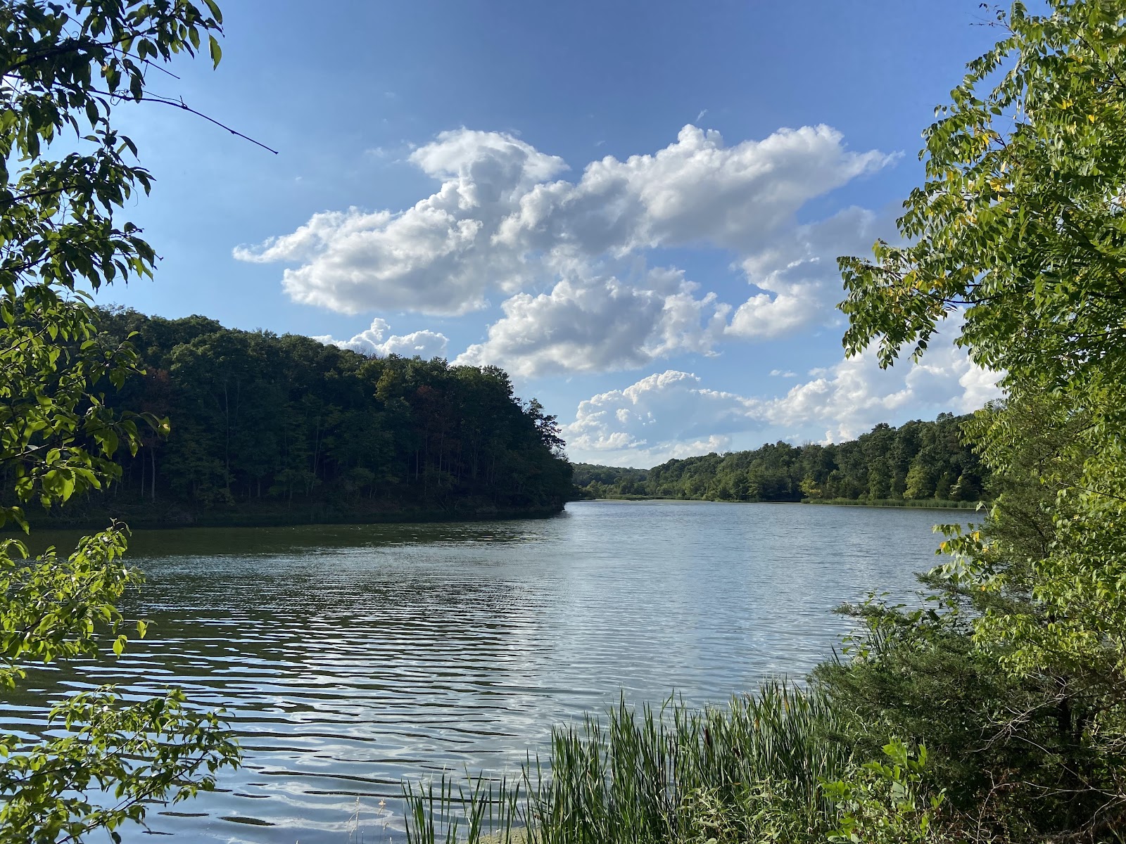 Washington Valley Park