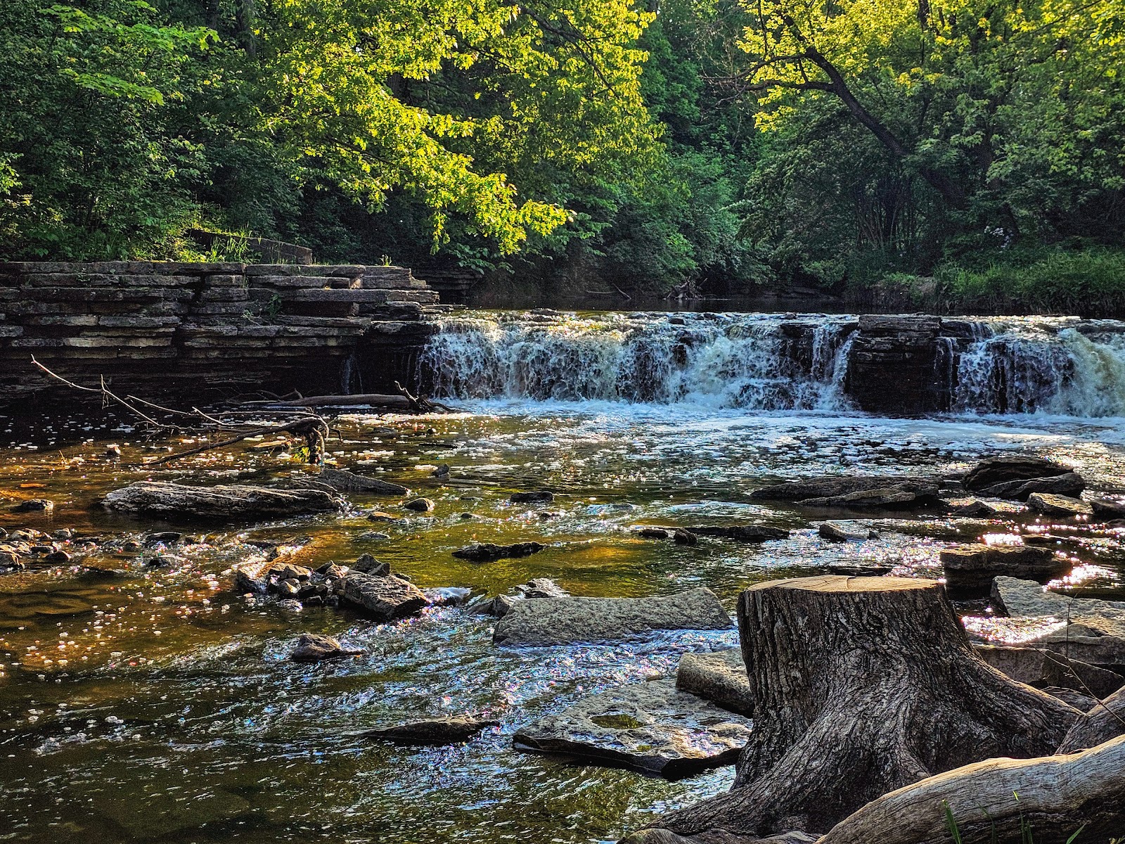 Waterfall Glen Forest Preserve