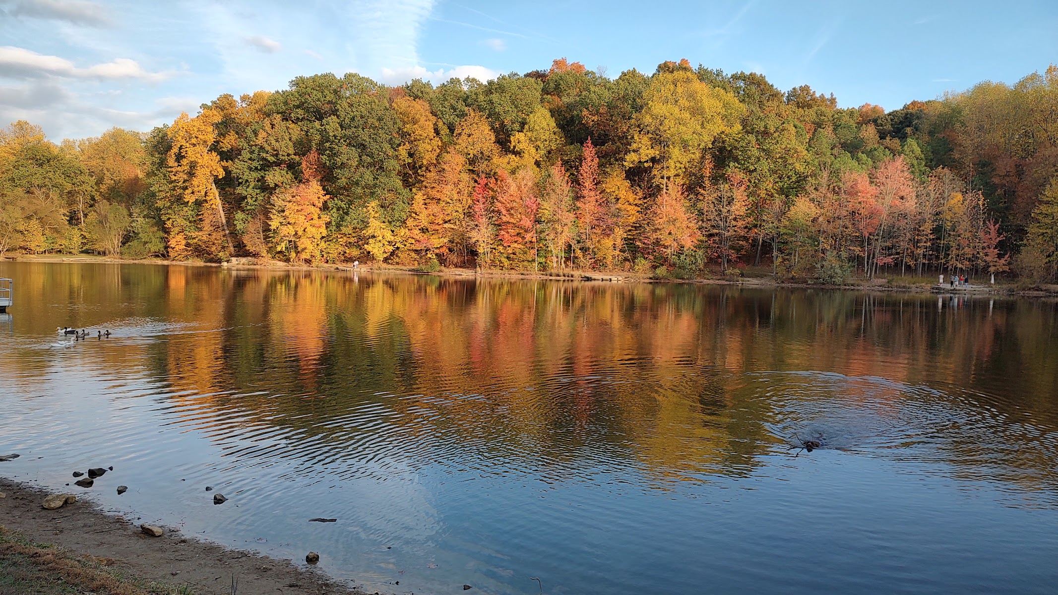 Waverly Park