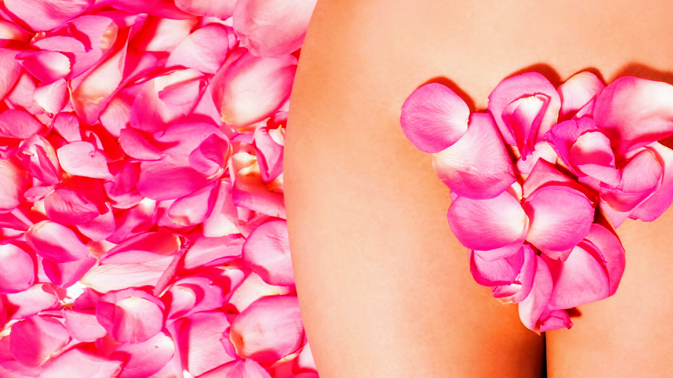 Waxing & Skincare by Celeste Santee - Brazilian Wax Specialist