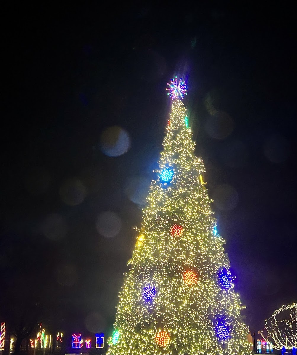 Westchester Winter Wonderland