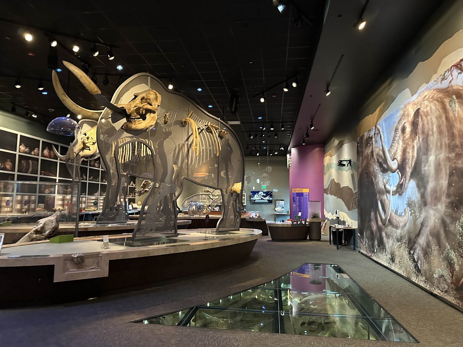 Western Science Center
