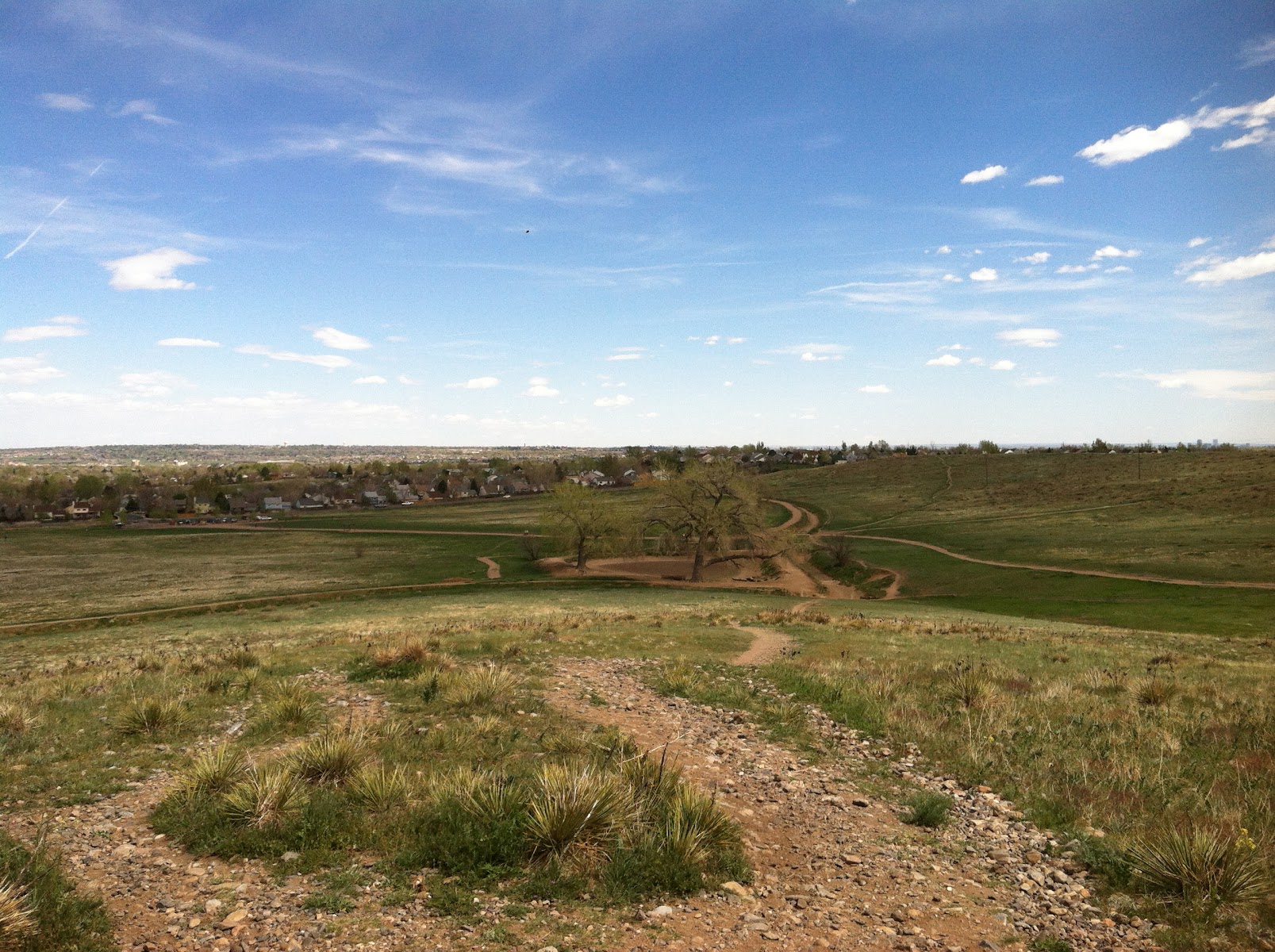 Westminster Hills Open Space Off-Leash Area