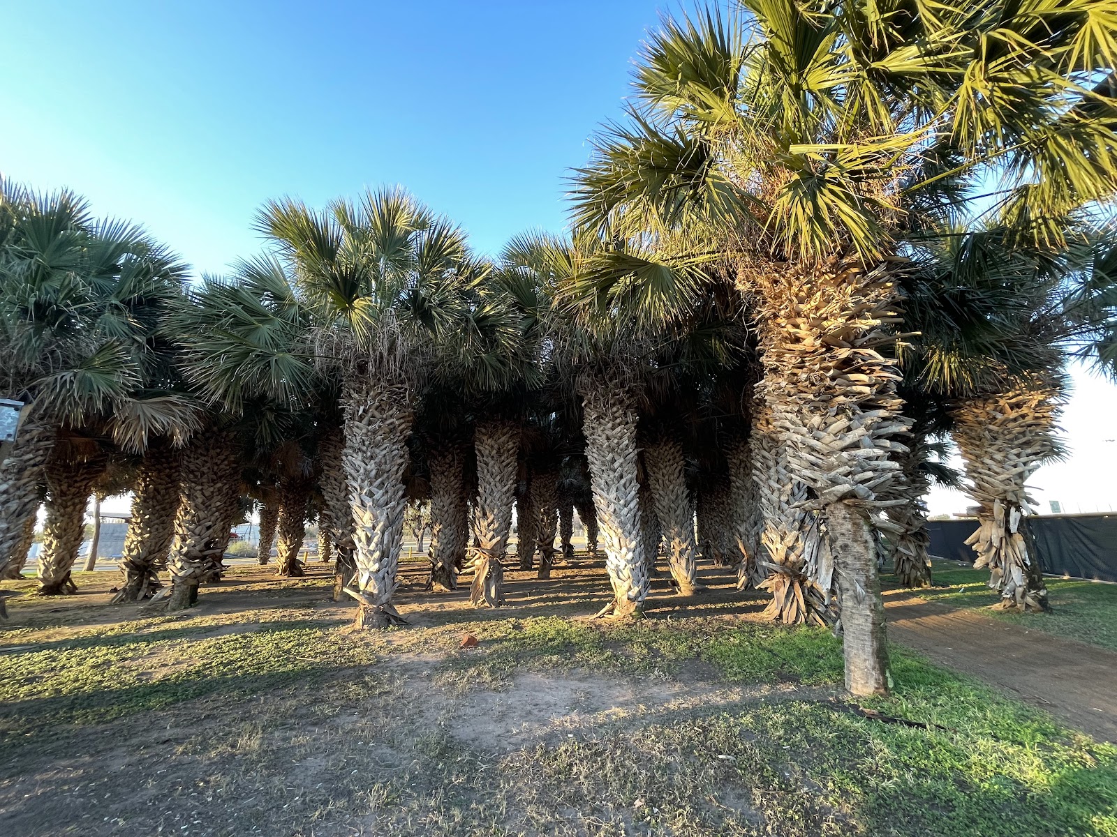 Westside Park and Field