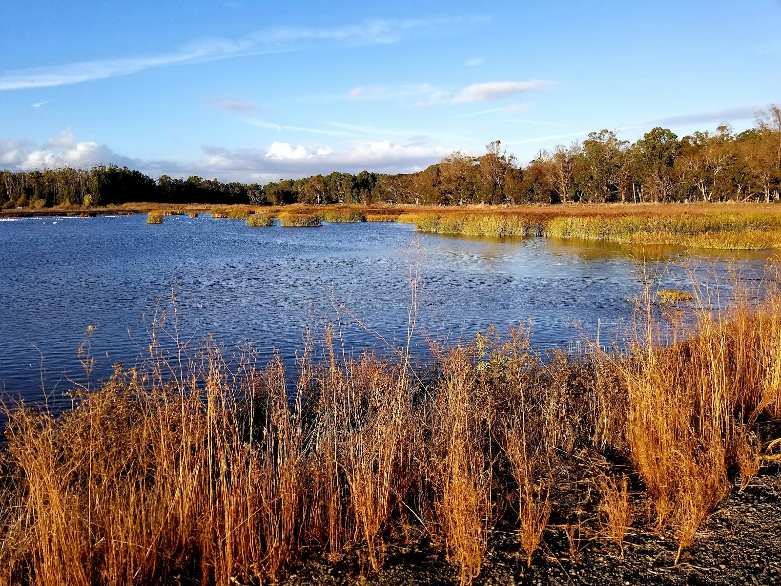 Wetlands Edge Park