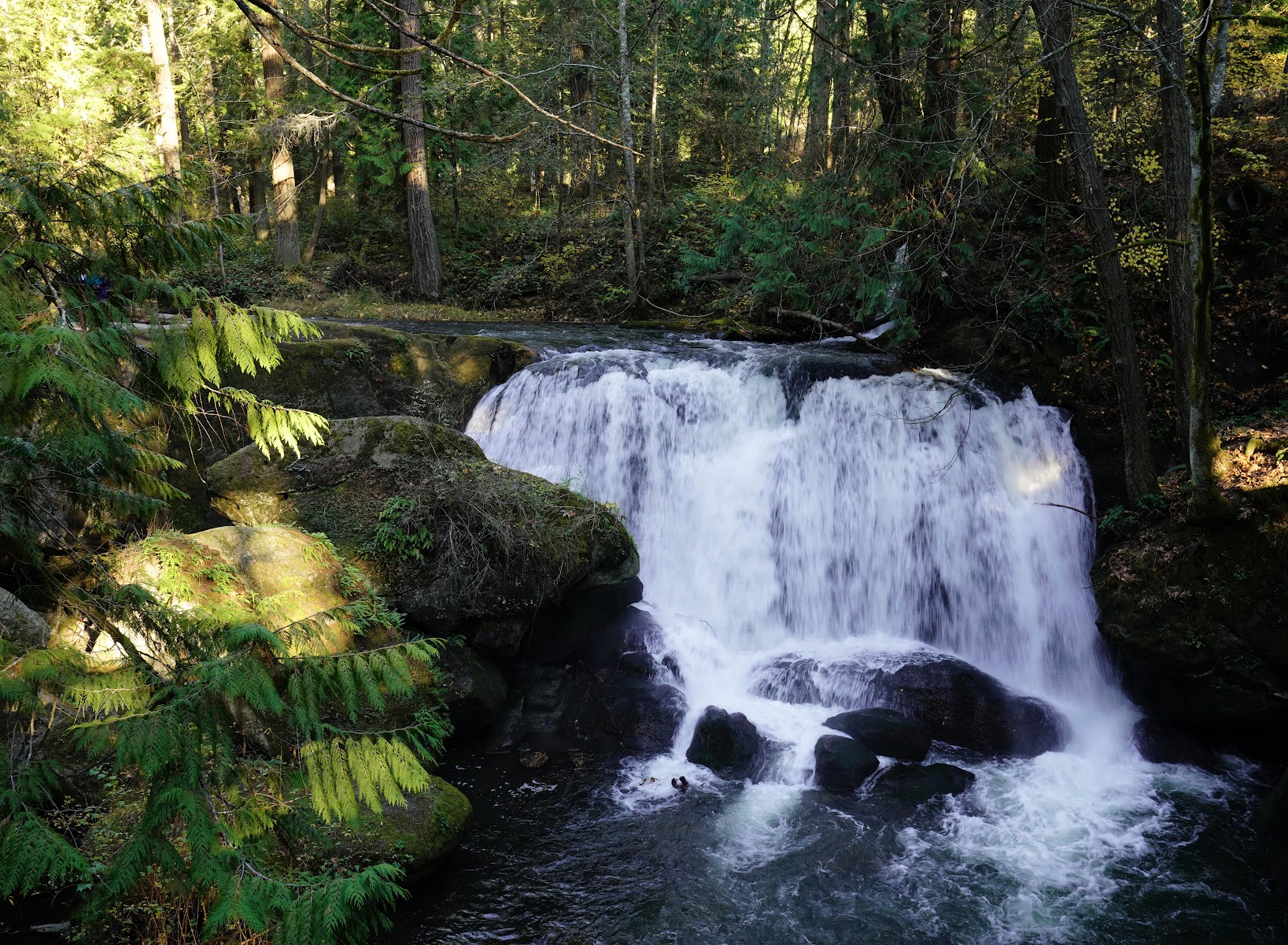 Whatcom Falls Park
