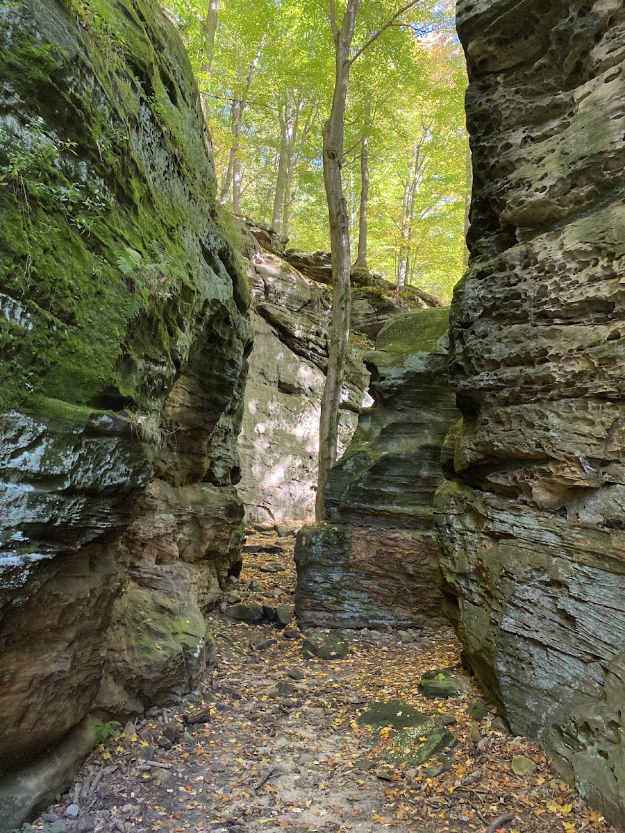 Whipps Ledges