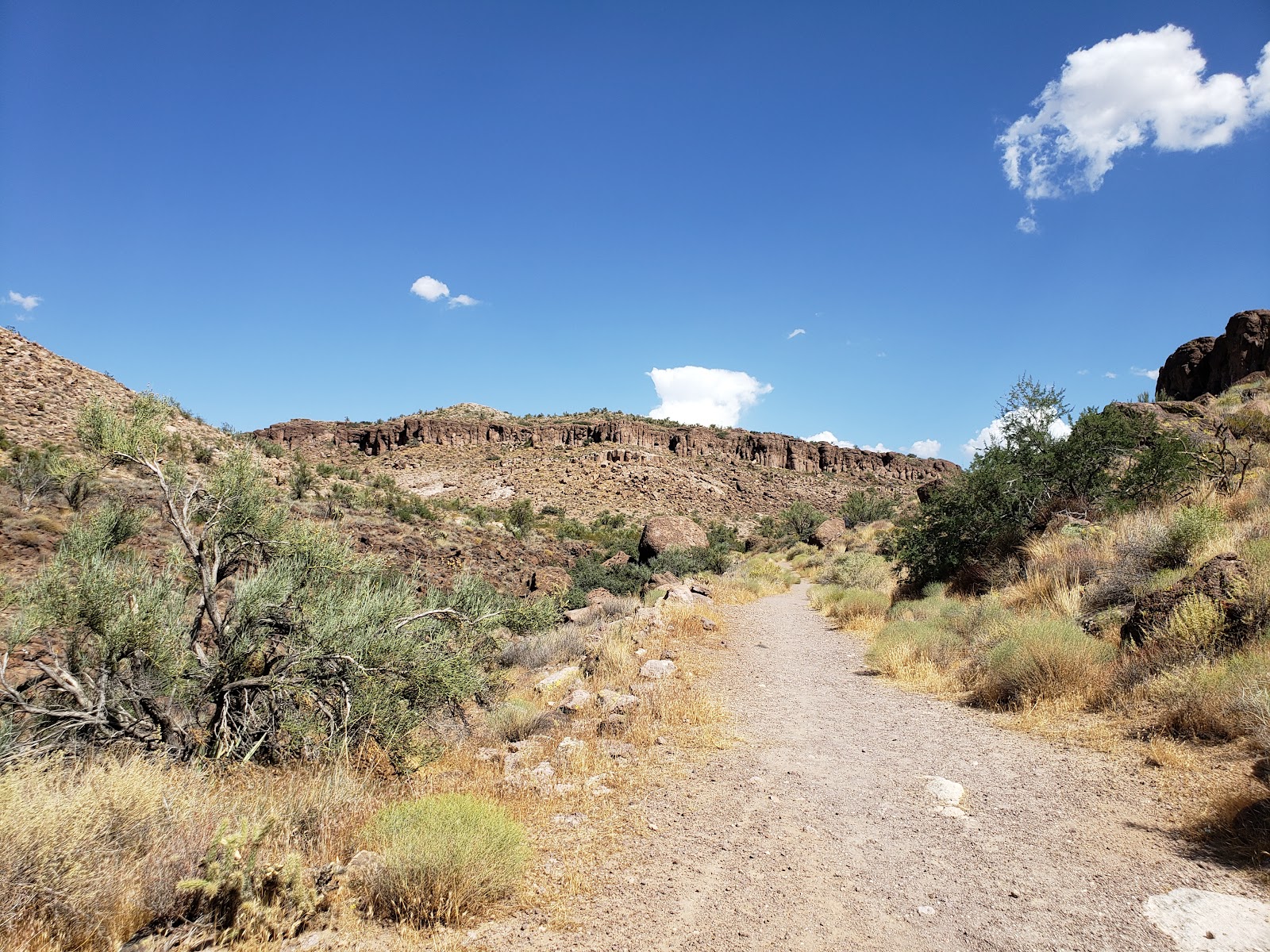White Cliffs Wagon Trail