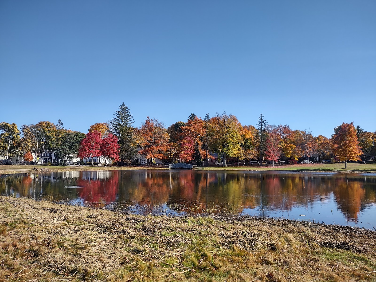White Park