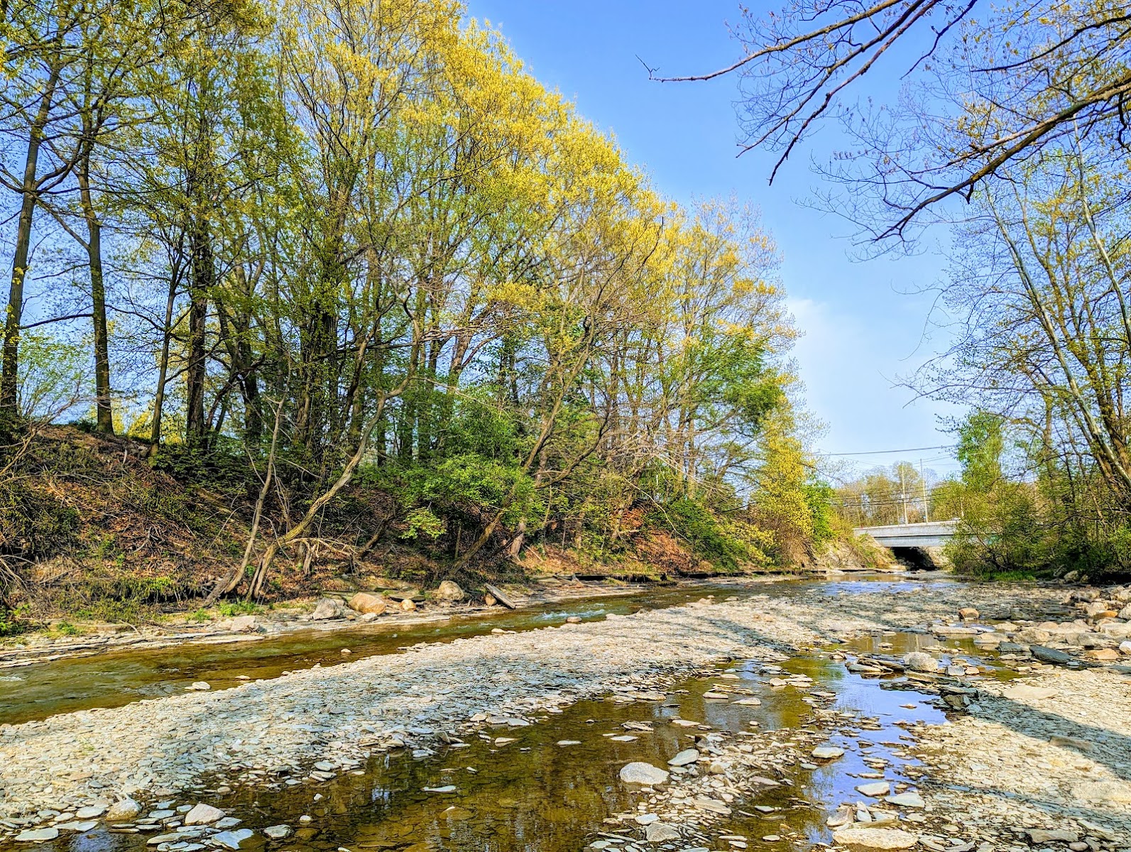 Whitford Park