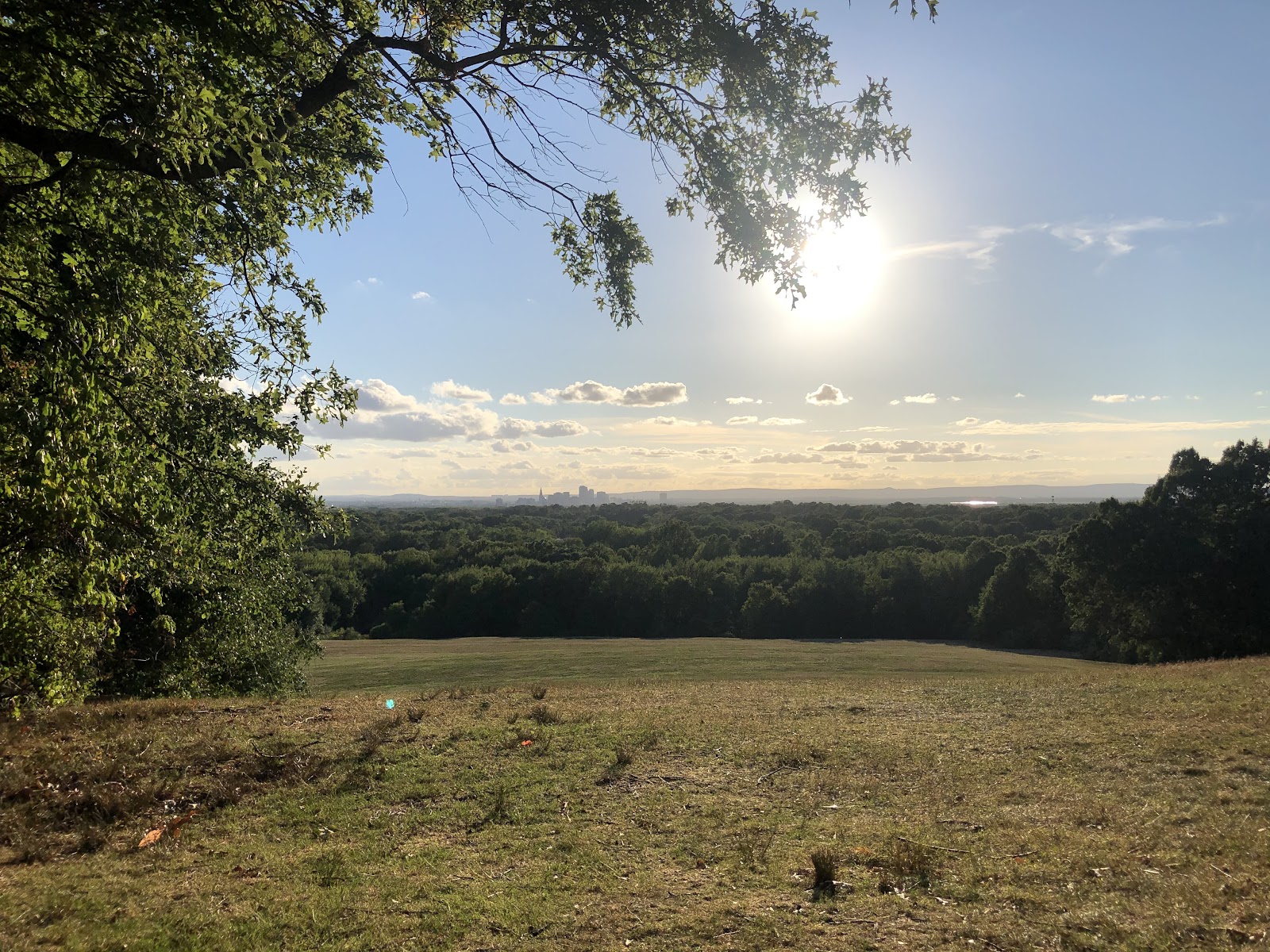 Wickham Park