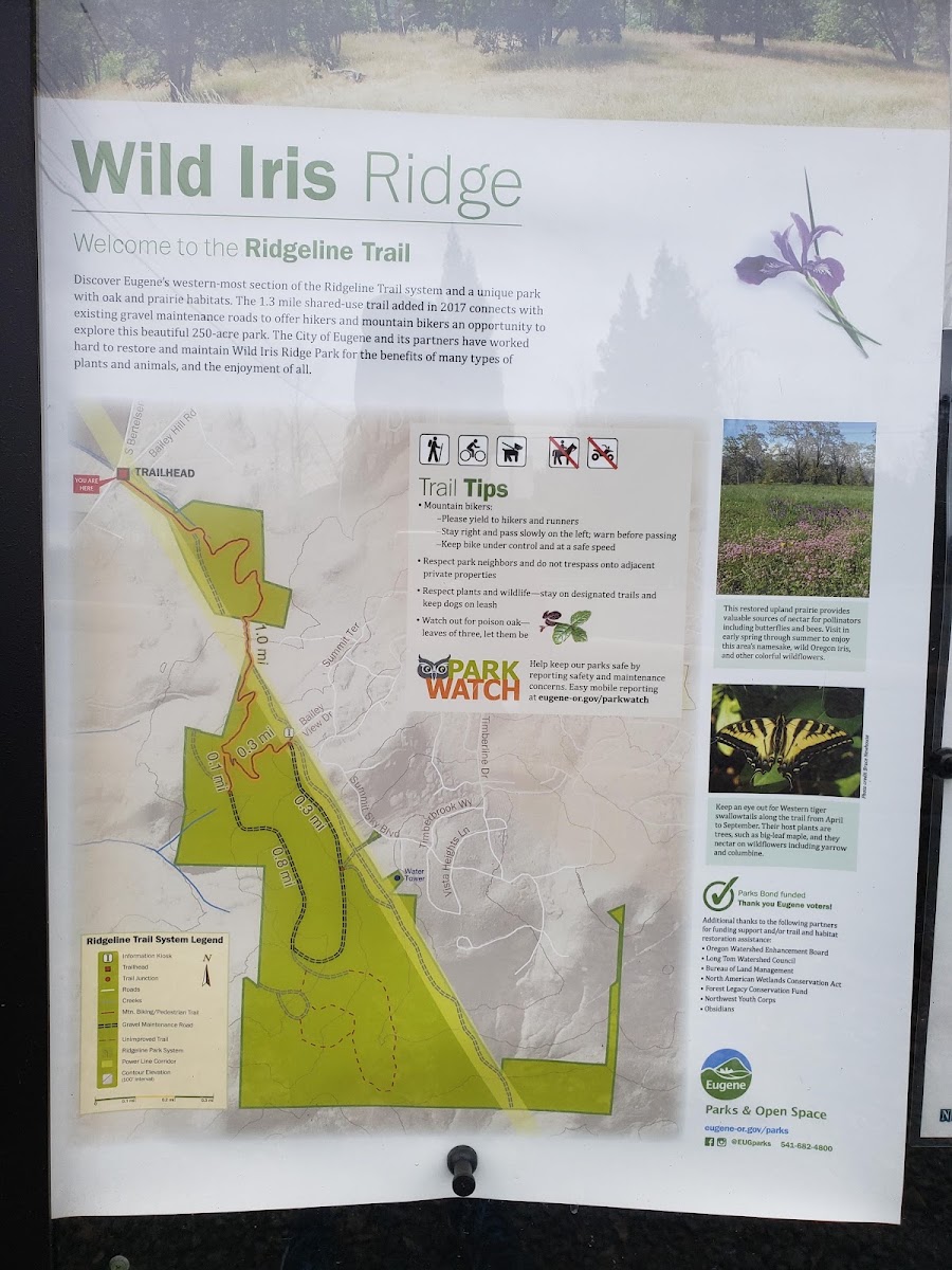 Wild Iris Ridge