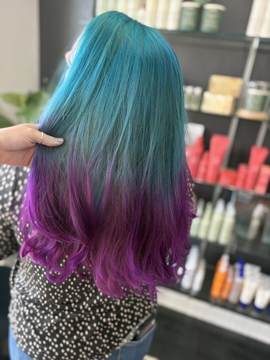 Wild Olive Salon