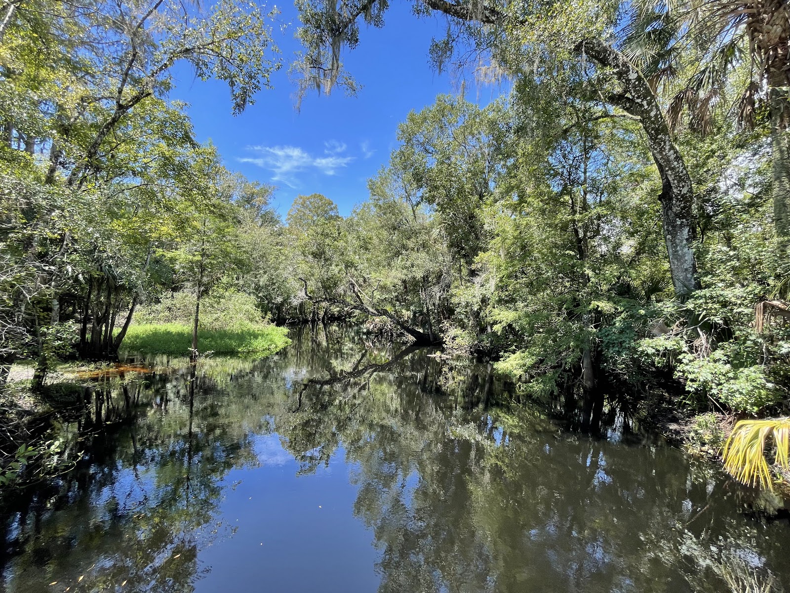 Wilderness Conservation Park Morris Bridge Site