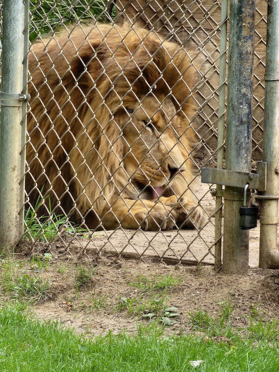 Wilderness Trails Zoo