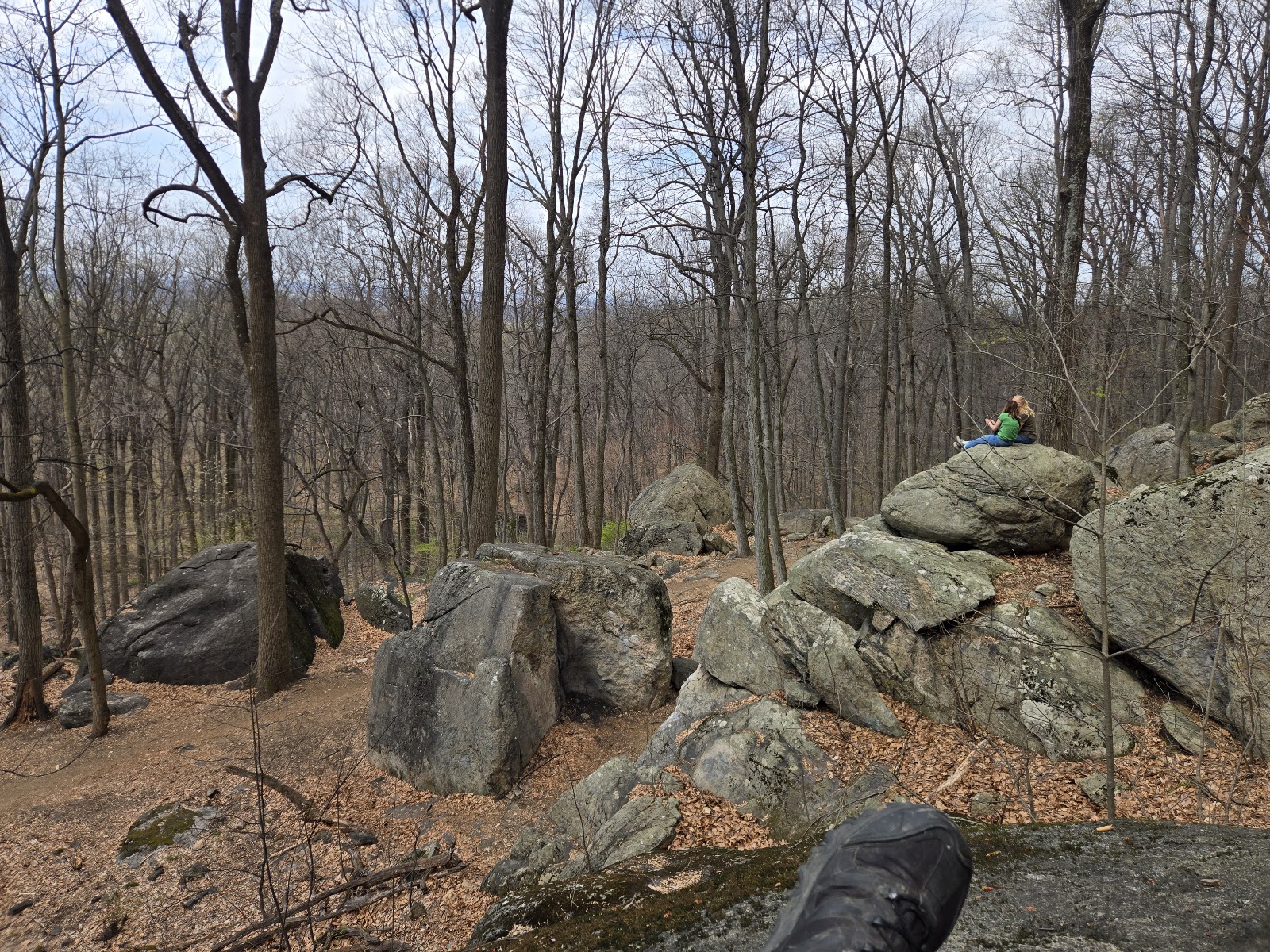 Wildlands Conservancy’s South Mountain Preserve