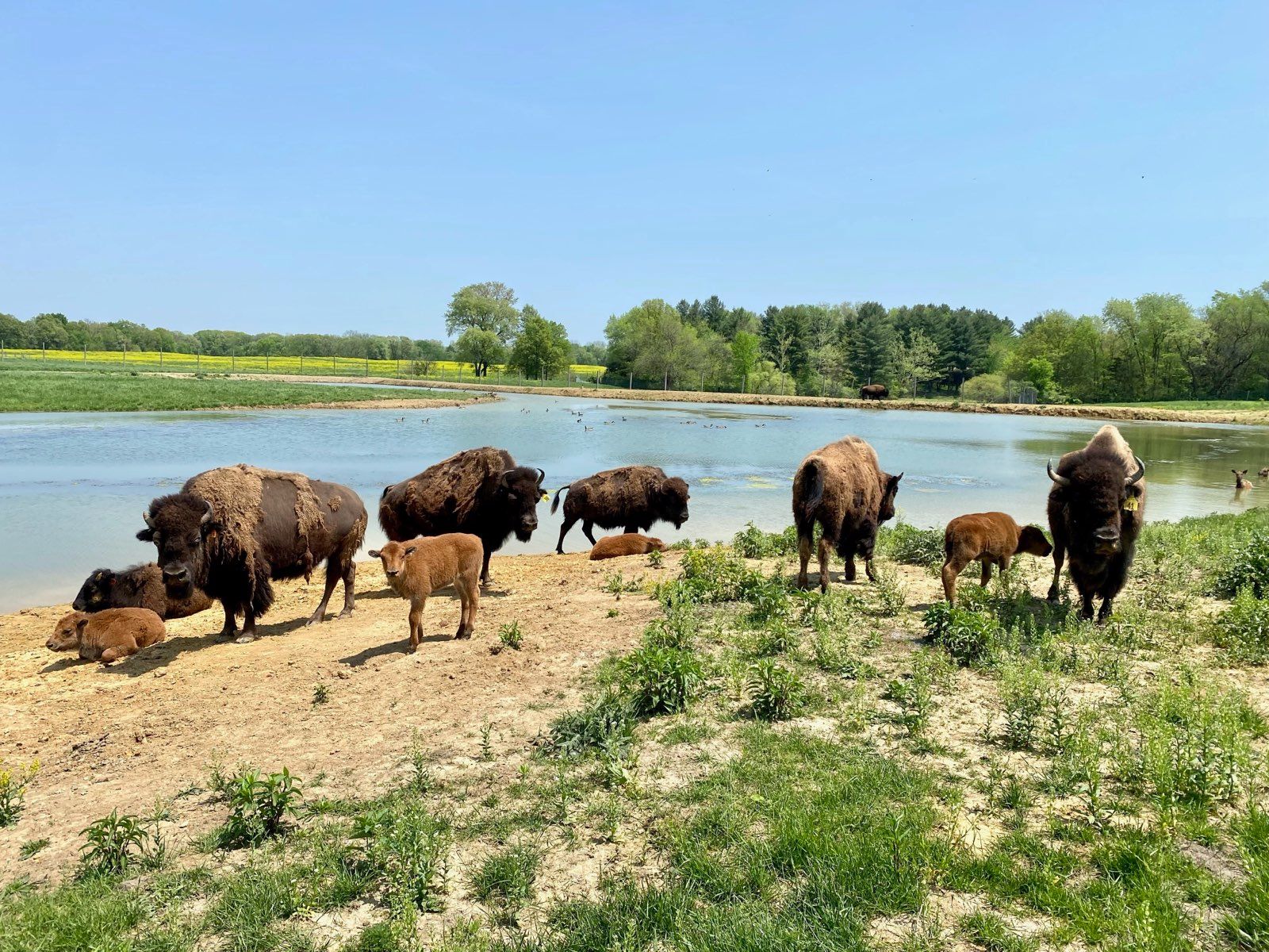 Wildlife Prairie Park