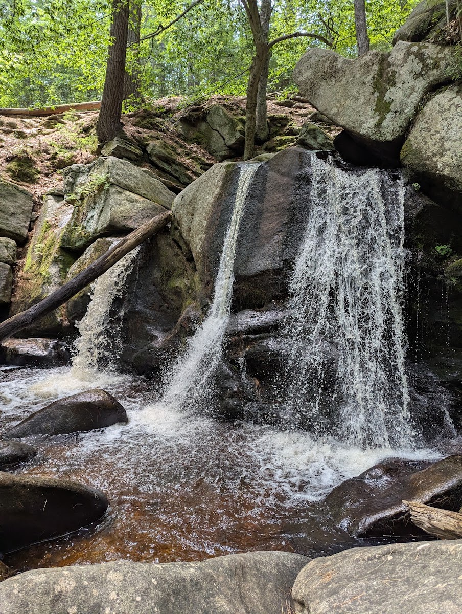 Willard Brook State Forest