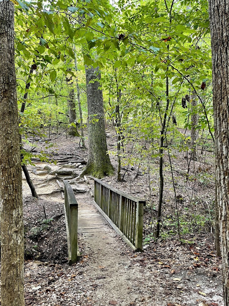 William B. Umstead State Park