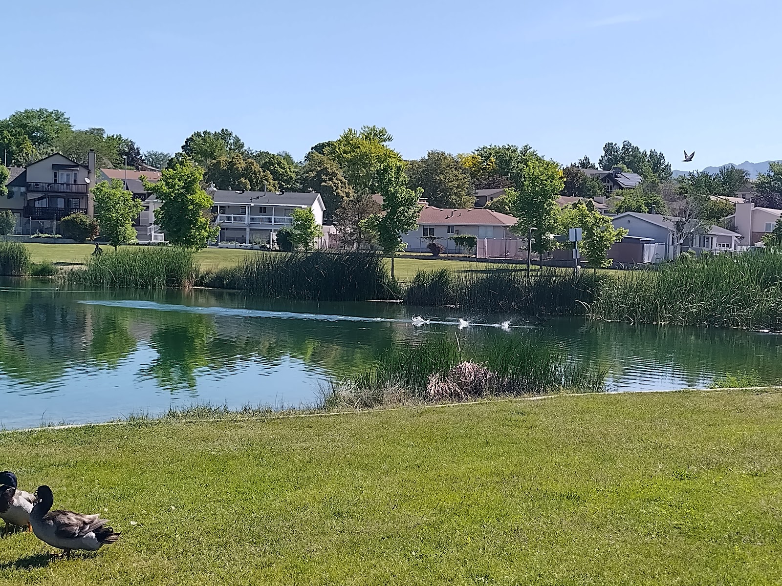 Willow Pond Park