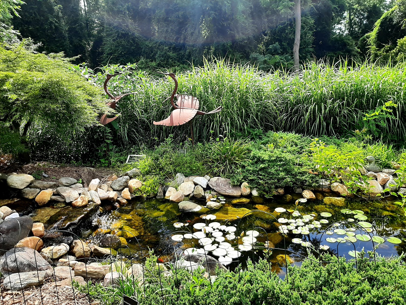 Wilson Botanical Gardens