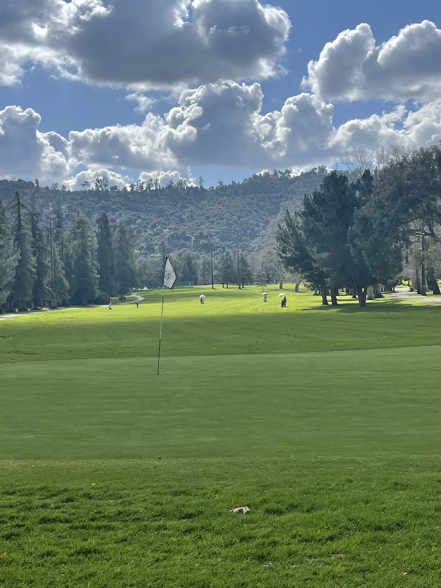 Wilson & Harding Golf Courses