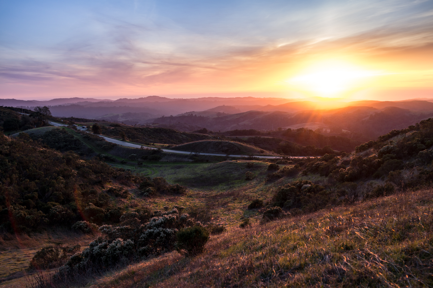 Windy Hill Open Space Preserve