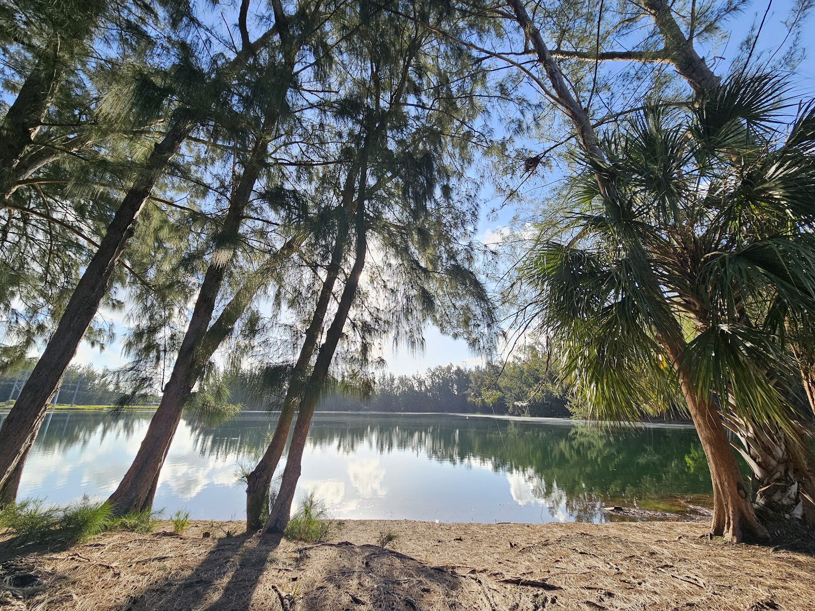 Wolf Lake Park