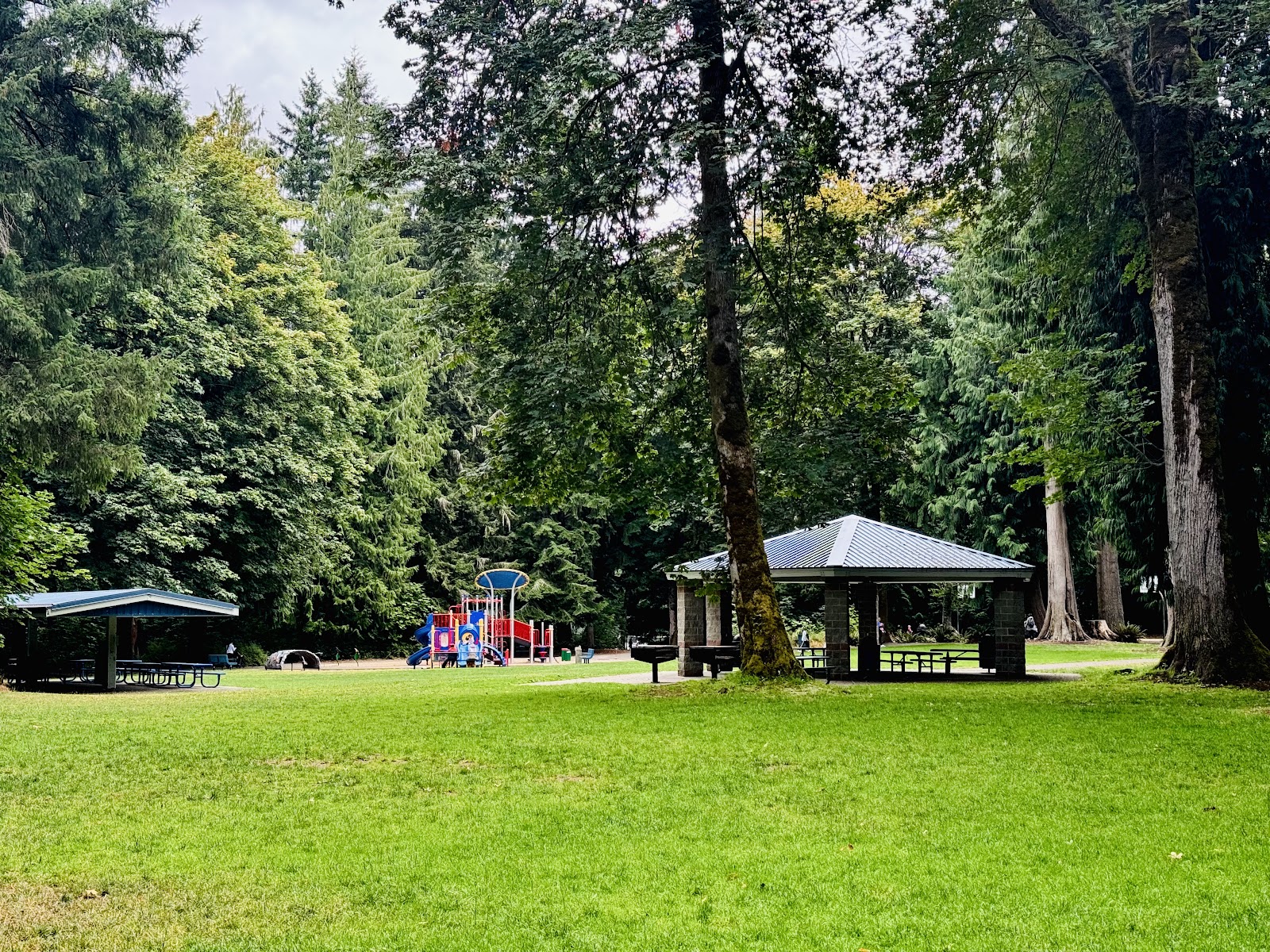 Wonderwood Park