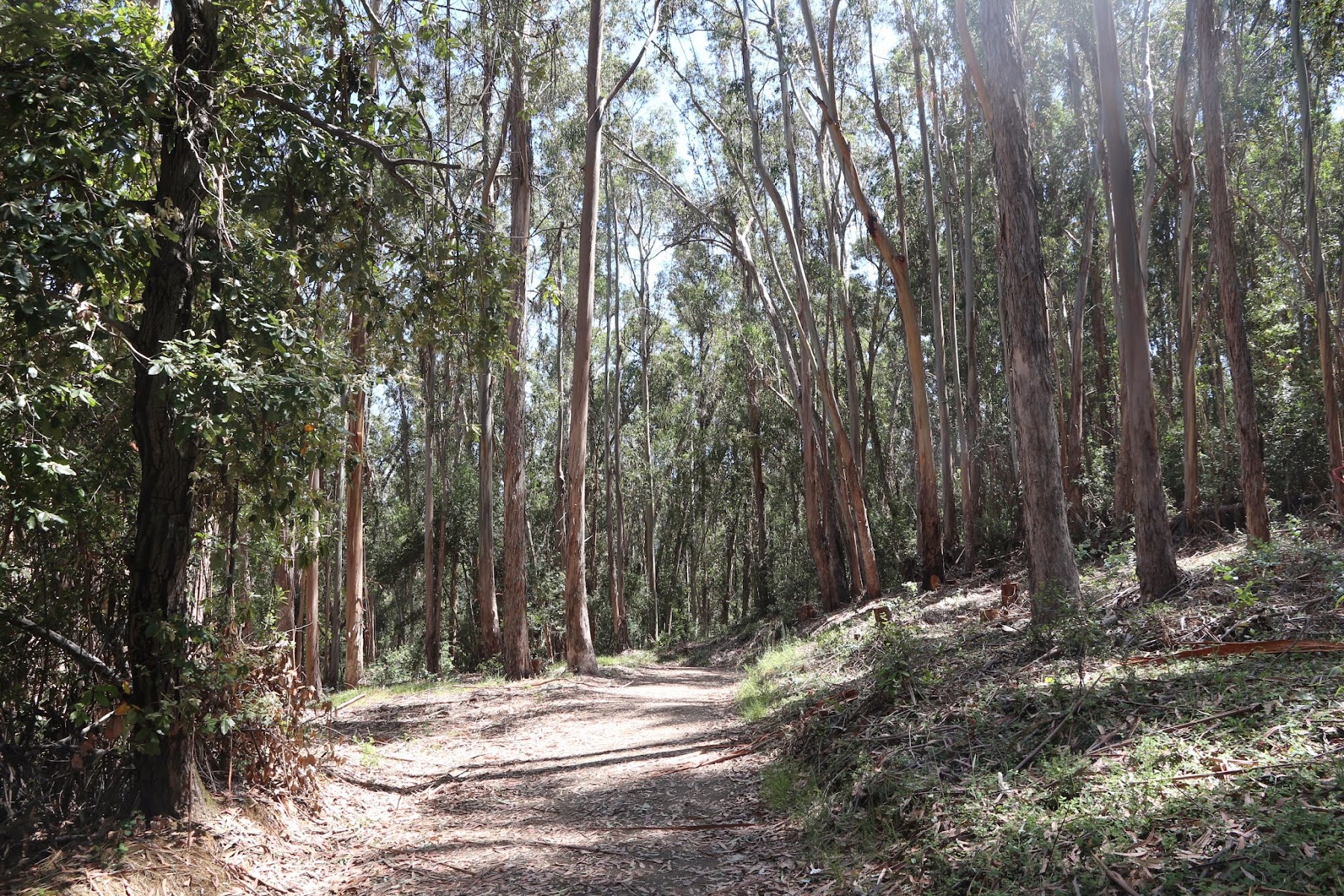 Wunderlich County Park