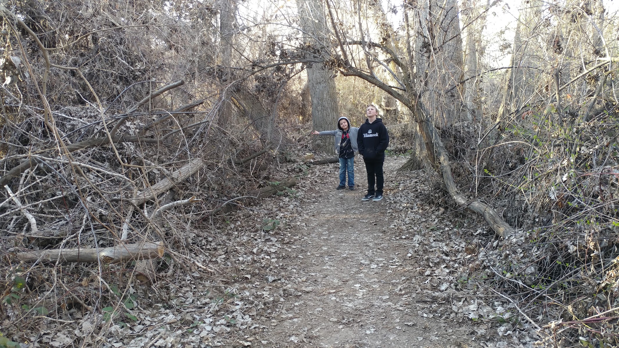 Zintel Canyon Greenway